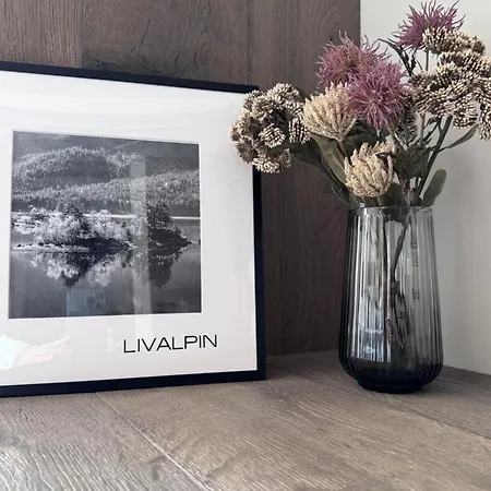公寓 Livalpin 2enjoy 加爾米施-帕滕基興